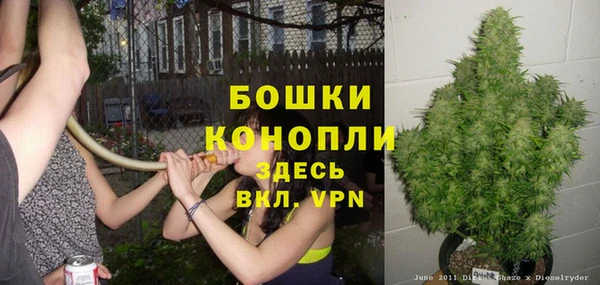 ALPHA PVP Вяземский