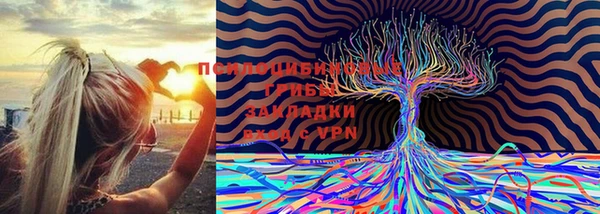 герыч Волосово